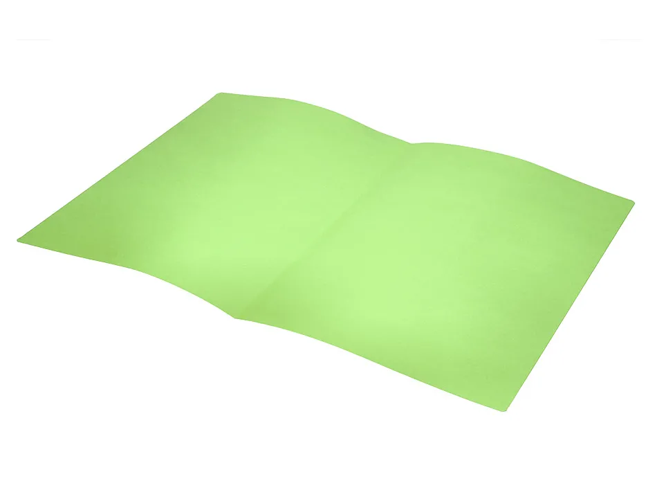 Chemise liderpapel papier cartonne 180g 310x230mm document a4 210x297mm coloris pastel vert intense