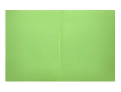 Chemise liderpapel papier cartonne 180g 310x230mm document a4 210x297mm coloris pastel vert intense