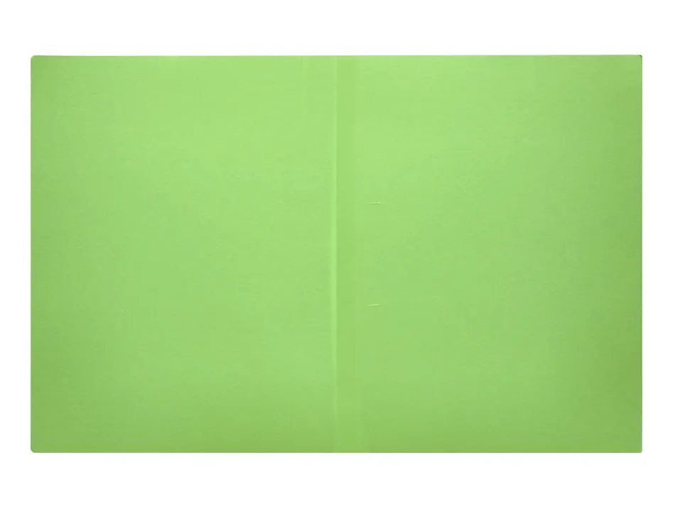 Chemise liderpapel papier cartonne 180g 310x230mm document a4 210x297mm coloris pastel vert intense