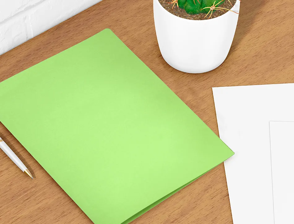 Chemise liderpapel papier cartonne 180g 310x230mm document a4 210x297mm coloris pastel vert intense