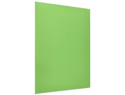 Chemise liderpapel papier cartonne 180g 310x230mm document a4 210x297mm coloris pastel vert intense