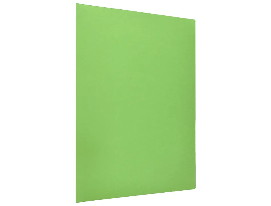 Chemise liderpapel papier cartonne 180g 310x230mm document a4 210x297mm coloris pastel vert intense