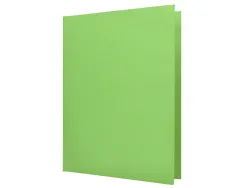 Chemise liderpapel papier cartonne 180g 310x230mm document a4 210x297mm coloris pastel vert intense