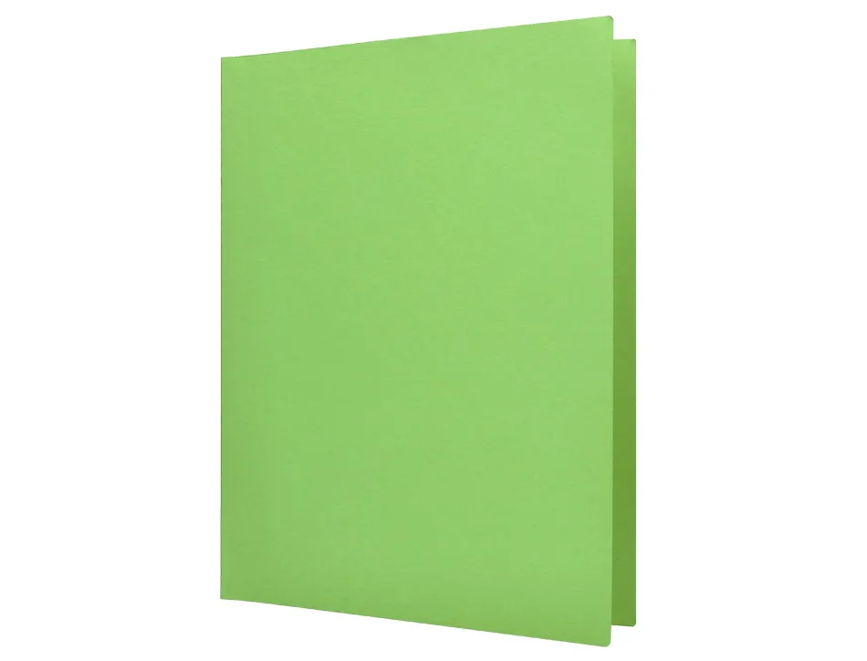 Chemise liderpapel papier cartonne 180g 310x230mm document a4 210x297mm coloris pastel vert intense
