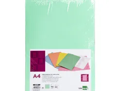 Chemise liderpapel papier cartonne 180g/m2 310x230mm document a4 coloris vert pastel