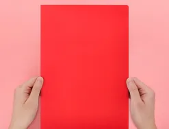 Chemise liderpapel papier cartonne 180g 310x230mm document a4 210x297mm coloris pastel rouge intense