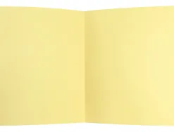 Chemise liderpapel papier cartonne 180g/m2 310x230mm document a4 coloris jaune pastel