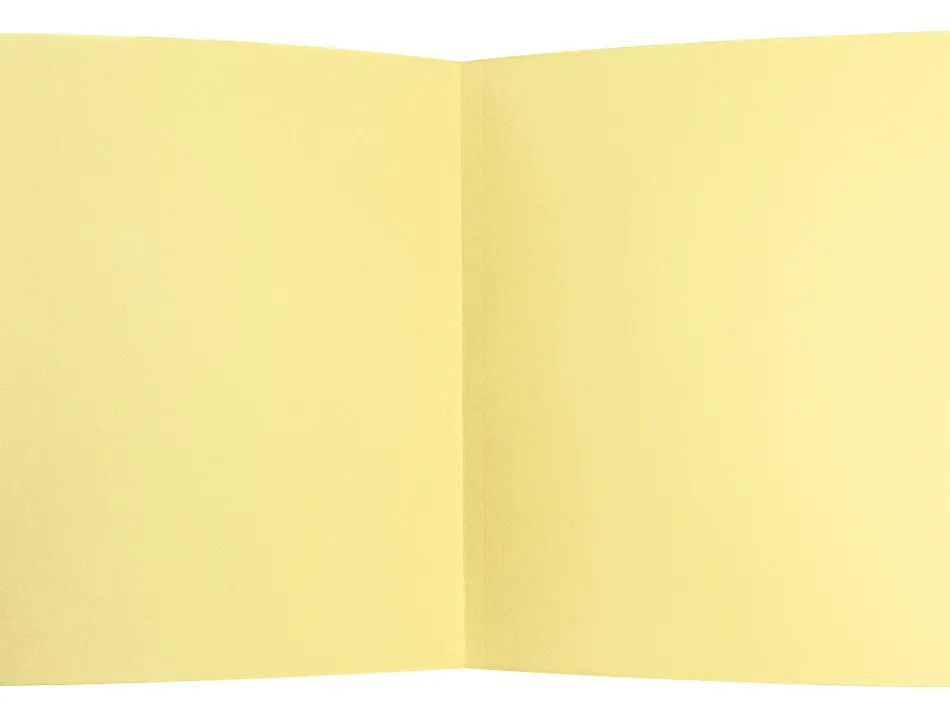 Chemise liderpapel papier cartonne 180g/m2 310x230mm document a4 coloris jaune pastel
