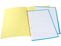 Chemise liderpapel papier cartonne 180g/m2 310x230mm document a4 coloris jaune pastel