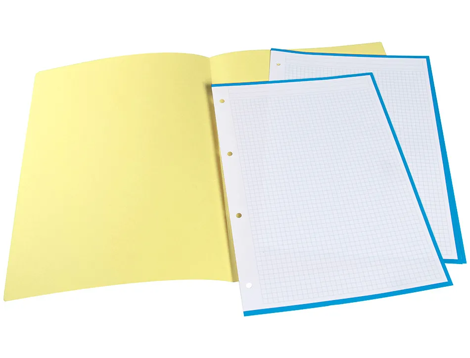 Chemise liderpapel papier cartonne 180g/m2 310x230mm document a4 coloris jaune pastel
