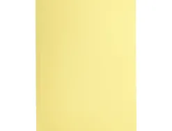 Chemise liderpapel papier cartonne 180g/m2 310x230mm document a4 coloris jaune pastel