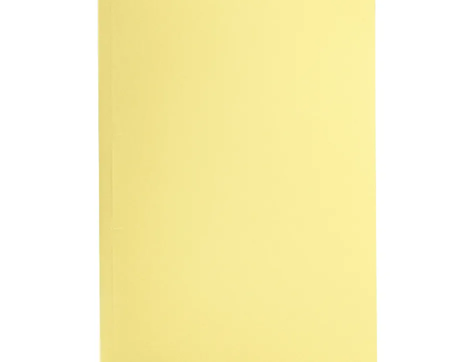 Chemise liderpapel papier cartonne 180g/m2 310x230mm document a4 coloris jaune pastel