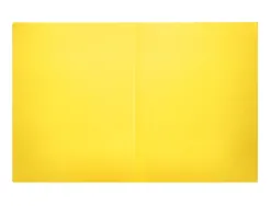 Chemise liderpapel papier cartonne 180g 310x230mm document a4 210x297mm coloris pastel jaune intense