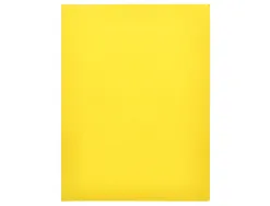 Chemise liderpapel papier cartonne 180g 310x230mm document a4 210x297mm coloris pastel jaune intense
