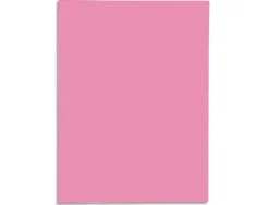 Chemises 1 rabat exacompta super 250 carte 210g rose paquet de 50