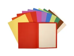 Chemises exacompta flash 220 g coloris assortis vifs recyclées paquet 100