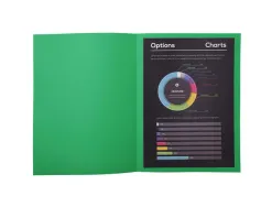 Chemises exacompta rock s carte 210 g coloris vert sapin paquet 100