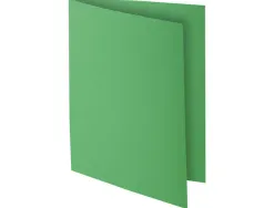 Chemises exacompta rock s carte 210 g coloris vert sapin paquet 100