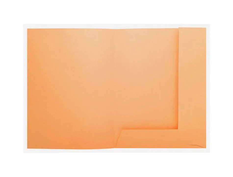 Chemises exacompta super 250 210 g coloris orange paquet 50