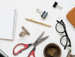 Ciseaux liderpapel lame en titane incurvee 16,5 cm facilite de coupe et durabilite housse incluse