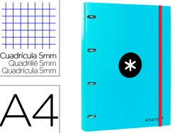 Classeur antartik 4 anneaux ronds 25mm a4 carton rembordé feuillets mobiles quadrillage 5mm coloris turquoise