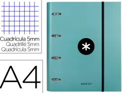 Classeur antartik 4 anneaux ronds 40mm a4 carton rembordé feuillets mobiles q5x5 coloris menthe