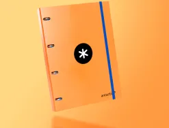 Classeur antartik 4 anneaux ronds 25mm a4 carton rembordé feuillets mobiles quadrillage 5mm coloris orange