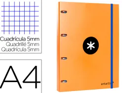 Classeur antartik 4 anneaux ronds 25mm a4 carton rembordé feuillets mobiles quadrillage 5mm coloris orange