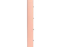 Classeur antartik trending topic 2020 4 anneaux ronds 40mm feuillet mobile a4 5x5mm coloris corail