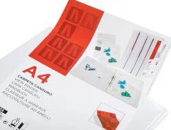 Classeur kangourou liderpapel 2 anneaux 40mm 283x320mm document a4 plastique dos 68mm coloris blanc