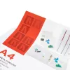 Classeur kangourou liderpapel 4 anneaux 16mm 283x320mm document a4 plastique dos 28mm coloris blanc
