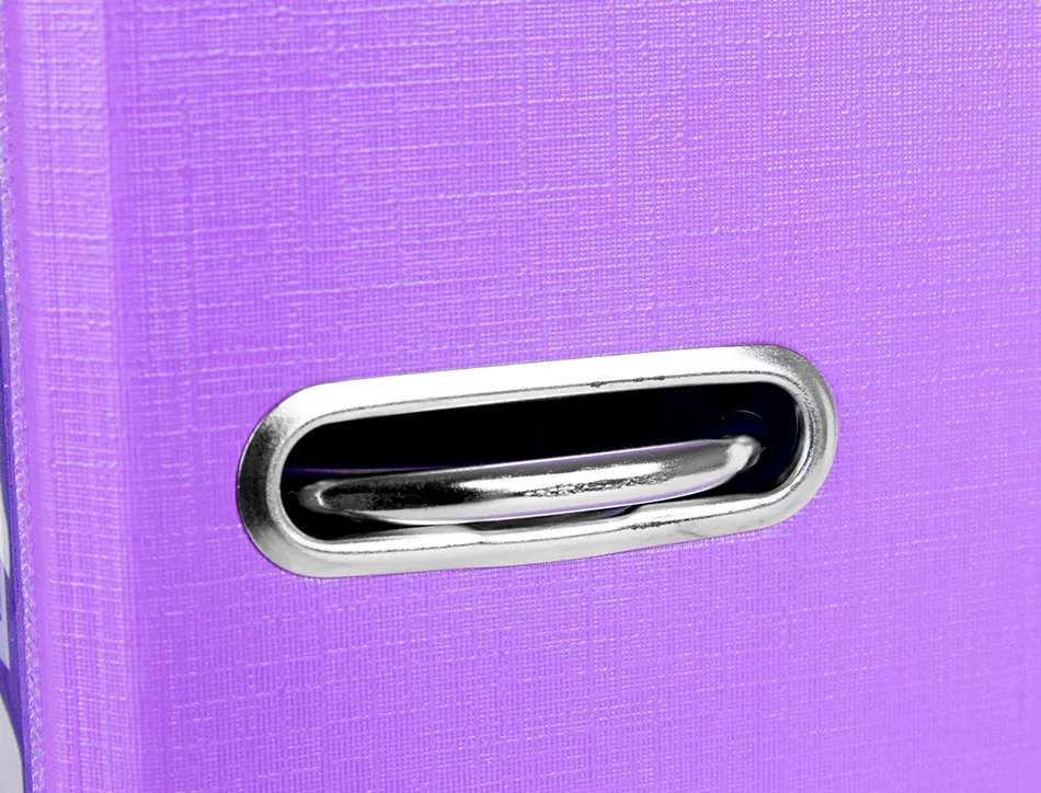 Classeur levier liderpapel documenta a4+ carton remborde dos 75mm rado metallique coloris lilas