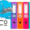 Classeur levier liderpapel documenta a4+ carton remborde dos 75mm rado metallique coloris assortis trending