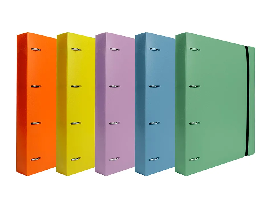 Classeur liderpapel 4 anneaux en d 25mm a4 polypropylene feuillets mobiles 100f 5x5mm coloris menthe