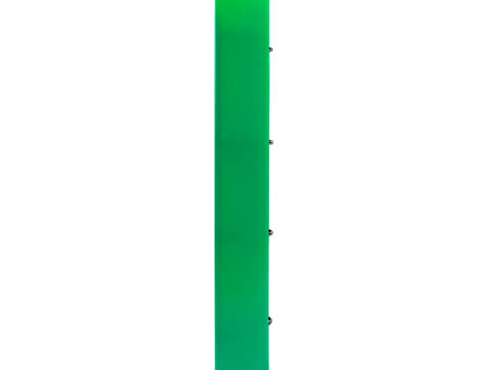 Classeur liderpapel 4 anneaux en d 25mm a4 polypropylene feuillets mobiles 100f 5x5mm coloris vert translucide