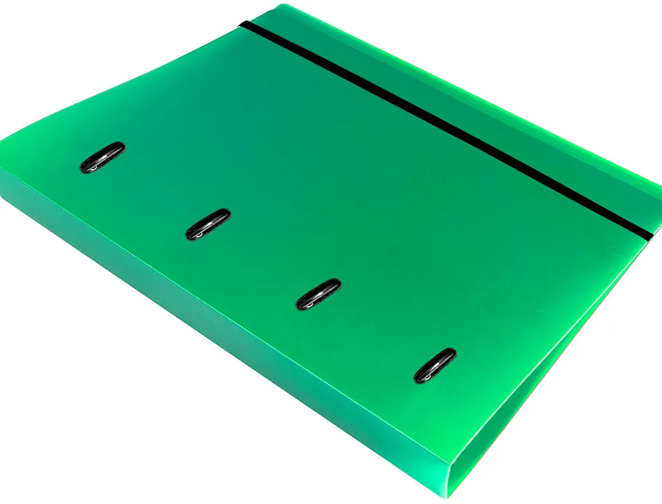 Classeur liderpapel 4 anneaux en d 25mm a4 polypropylene feuillets mobiles 100f 5x5mm coloris vert translucide
