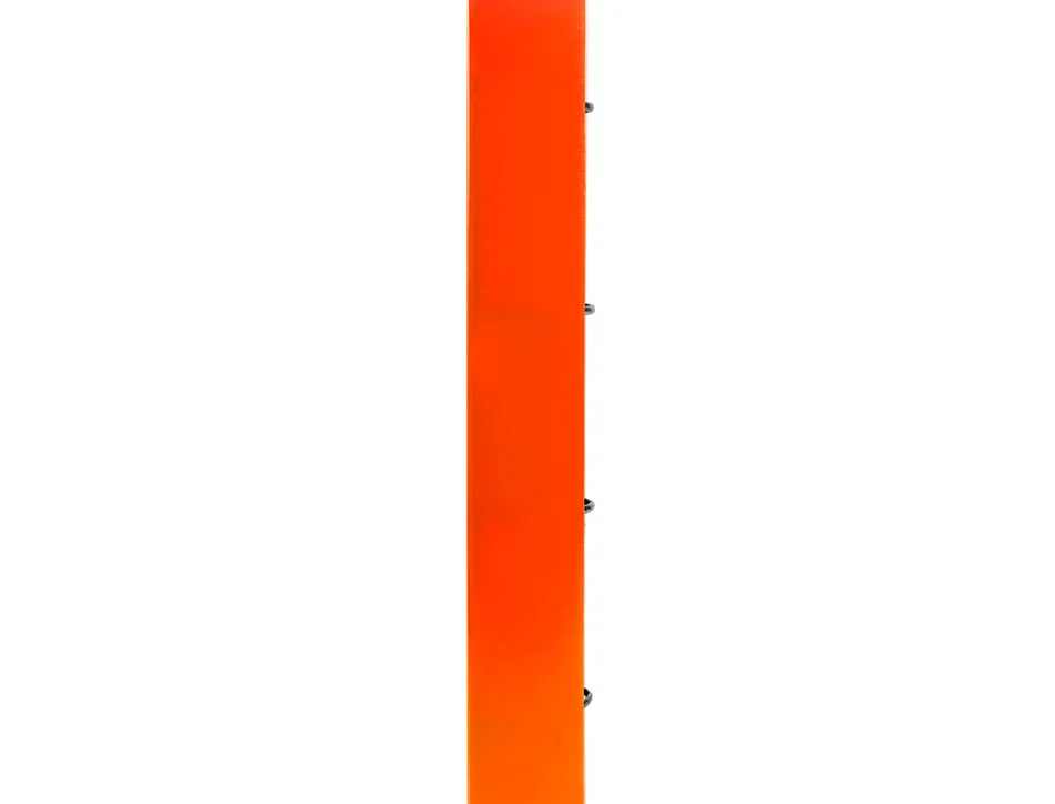 Classeur liderpapel 4 anneaux en d 25mm a4 polypropylene feuillets mobiles 100f 5x5mm coloris orange fluo