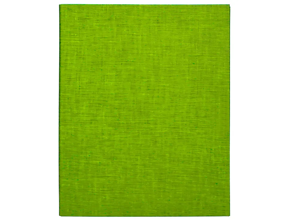 Classeur liderpapel 4 anneaux ronds 25mm a4+ carton rembordé paper coat coloris vert clair
