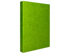 Classeur liderpapel 4 anneaux ronds 25mm a4+ carton rembordé paper coat coloris vert clair