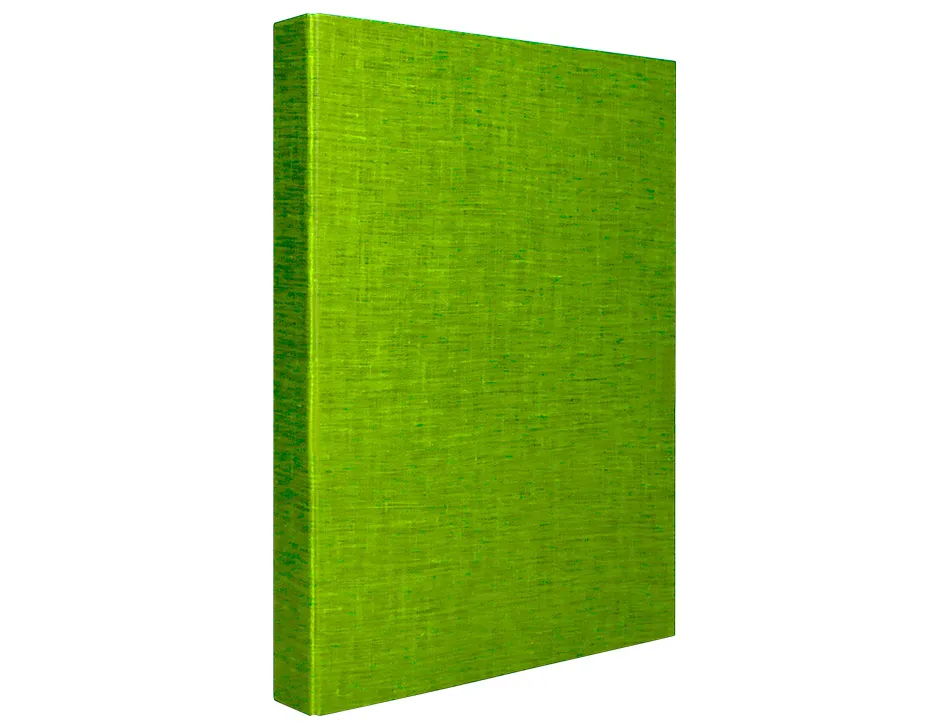 Classeur liderpapel 4 anneaux ronds 25mm a4+ carton rembordé paper coat coloris vert clair
