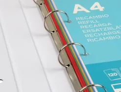 Classeur liderpapel série multilider 4 anneaux ronds 40mm a4 carton rembordé feuillets mobiles quadrillage 5mm 120f 80g