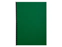 Couverture exacompta grain cuir recycle a4 270g coloris vert paquet 100 unites
