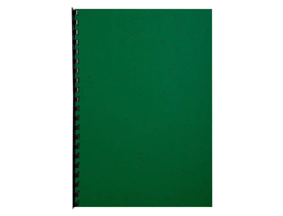 Couverture exacompta grain cuir recycle a4 270g coloris vert paquet 100 unites