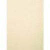 Couverture exacompta grain cuir recycle a4 270g paquet de 100 unites coloris ivoire