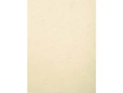 Couverture exacompta grain cuir recycle a4 270g paquet de 100 unites coloris ivoire