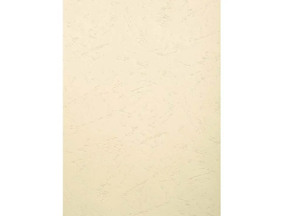 Couverture exacompta grain cuir recycle a4 270g paquet de 100 unites coloris ivoire