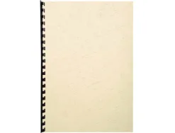 Couverture exacompta grain cuir recycle a4 270g paquet de 100 unites coloris ivoire