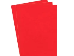Couverture fellowes grain cuir 250g format a4 coloris rouge paquet 100 unités