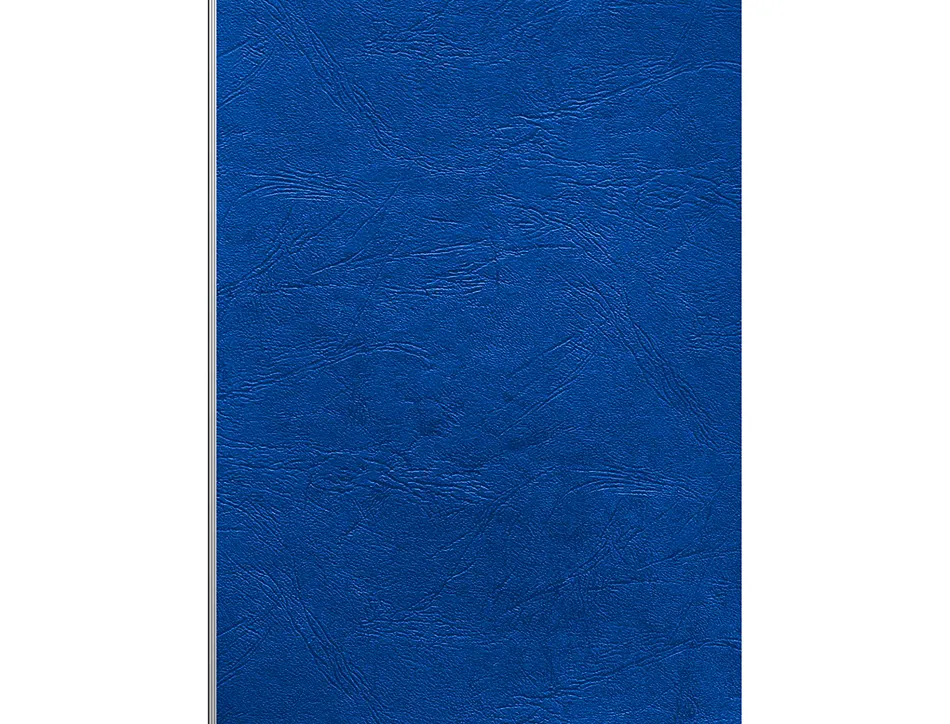 Couverture fellowes grain cuir 250g format a4 coloris bleu royal paquet 100 unités