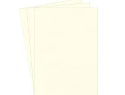 Couverture fellowes grain cuir 250g format a4 coloris ivoire paquet 100 unités